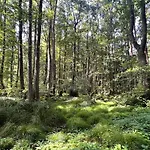 Ostseeferienhaus Finni Prázdninový dům Ribnitz-Damgarten