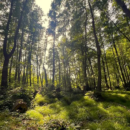 Ferienhaus Ostseeferienhaus Finni *